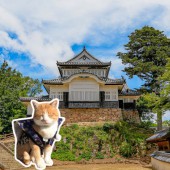 Bitchu-Matsuyama – "Lâu đài trên không" được cai quản bởi lãnh chúa mèo